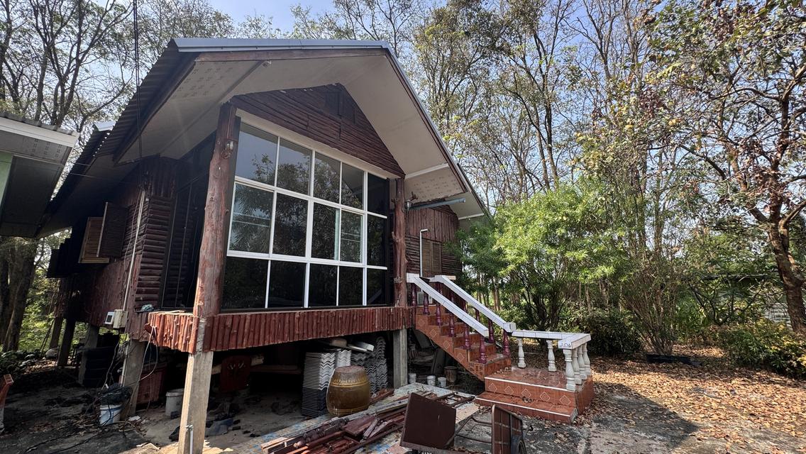 ขายที่สวน11 ไร่ พร้อมบ้าน2 หลัง มีรั้วล้อมรอบ ประตูรีโมท และรั้วล้อมสวน4ด้าน พร้อมต้นประดู่ ต้นกล้วย มะม่วง กระท้อน มะนาว มะกรูด 6