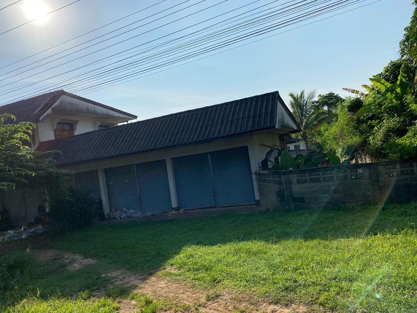 ขายบ้านทำเลดีดี บ้านจำไฮ ต.ปล้อง อ.เทิง จ.เชียงราย บ้านพร้อมที่ดินเนื้อที่ 280 ตรว. 2