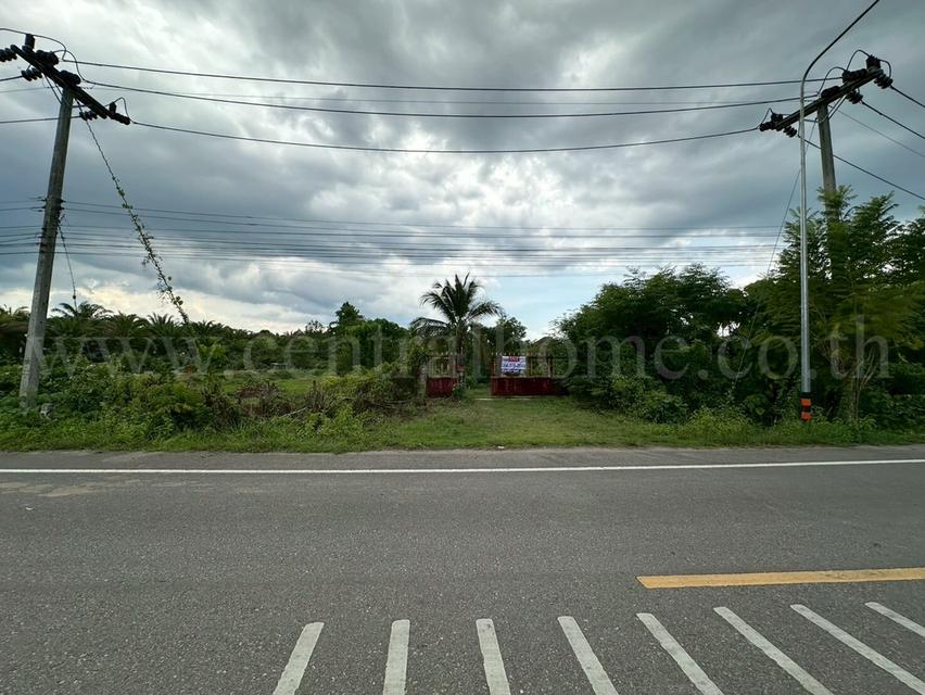 ที่ดินพร้อมสิ่งปลูกสร้าง 3-2-66.4 ตร.วา หน้าหมู่บ้าน ทวีทรัพย์ บ้านควน 19