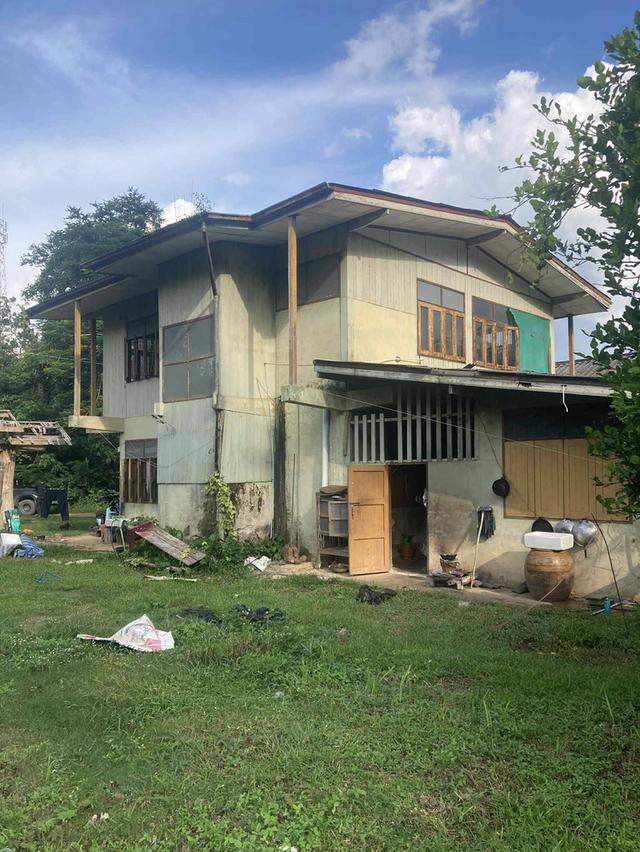 ขายบ้านพร้อมที่ดิน  เนื้อที่ 2ไร่ 2 งาน 74 ตรว ค่ะ 🏠 🏡บ้านห้วยไร่ อำเภอเด่นชัย จังหวัดแพร่ 3