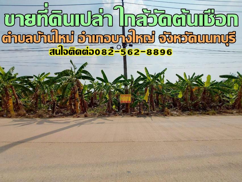 ขายที่ดินเปล่า ใกล้วัดต้นเชือก บางใหญ่ นนทบุรี 1