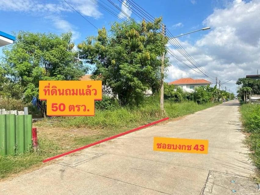 ขายที่ดินถมแล้ว เป็นแหล่งชุมชน เข้าออกได้หลายทาง ด้านหน้าแปลงติดถนนเลียบคลอง2  3