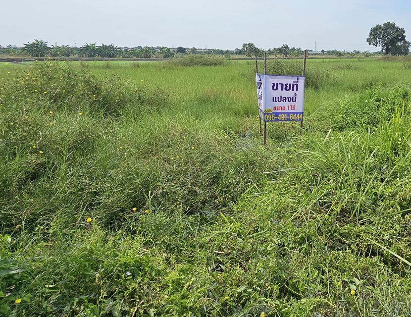 ที่ดิน 1 ไร่ ใกล้กรุง ตลาด อำเภอ โรงพยาบาล 2