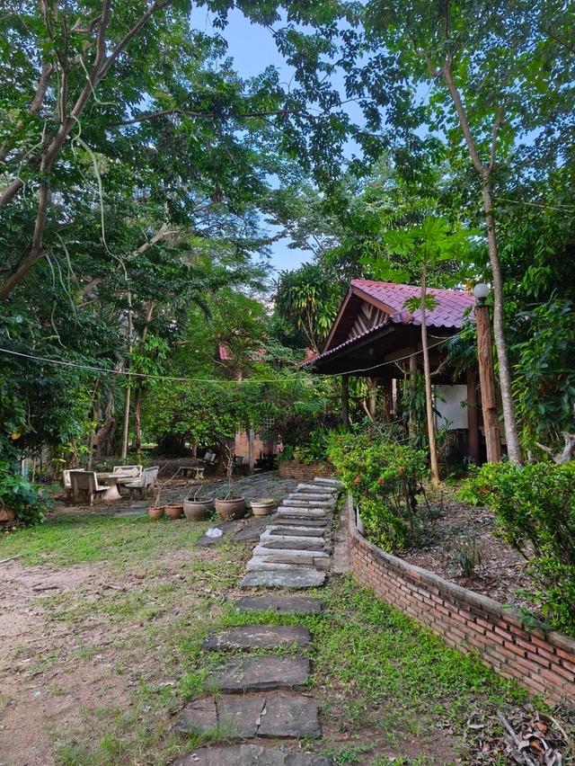 ขายที่ดินปากช่อง ขนงพระใต้ 11