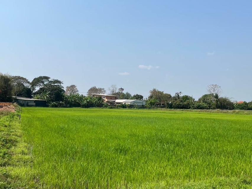 ที่ดิน ที่ทำเลดี จ.เชียงราย 8