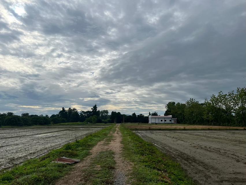 ที่ดิน เจ้าของขายเอง ปี 2569 16