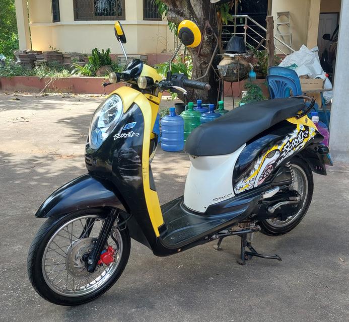 scoopy i 6