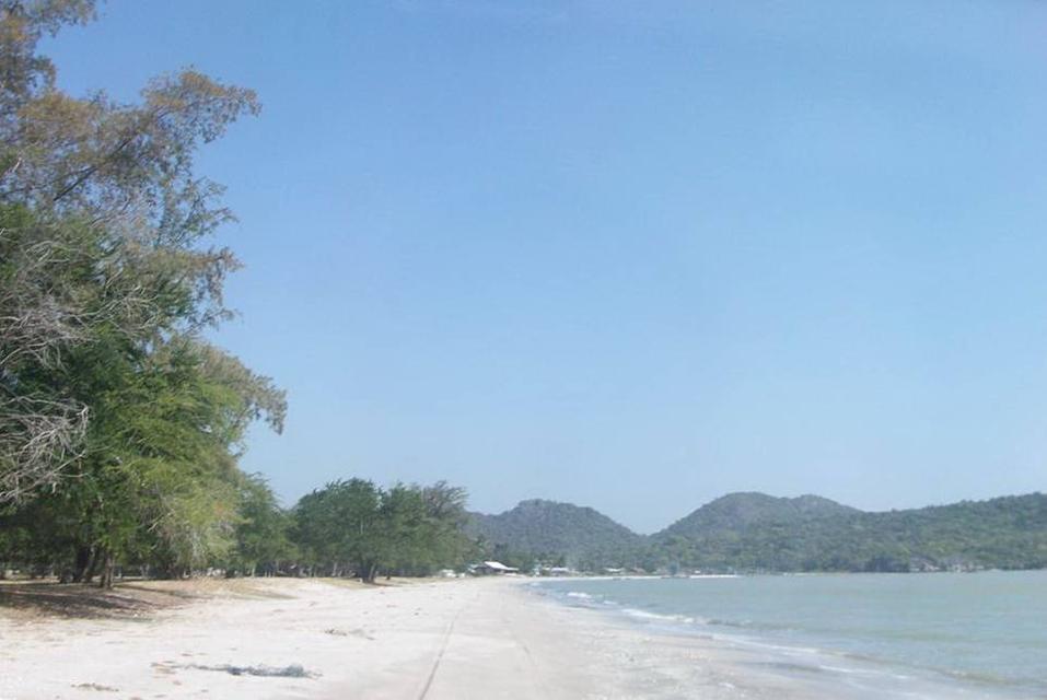 ที่ดินทำเลทอง ติดชายทะเล หาดสวนตัว หน้ากว้างถึง 110 เมตร กุยบุรี ประจวบคีรีขันธ์ ใกล้หมู่บ้าน ใกล้สะพานปลา มีวิวภูเขา ด้านหน้าเป็นวิวทะเลหาดส่วนตัว 4