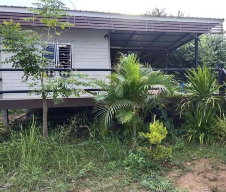 ขายด่วนบ้านพร้อมที่ดิน 6