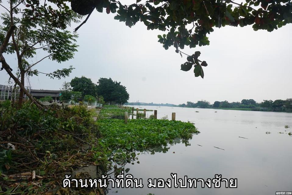 ขายที่ดินติดแม่น้ำท่าจีน อ.สามพราน จ.นครปฐม 9
