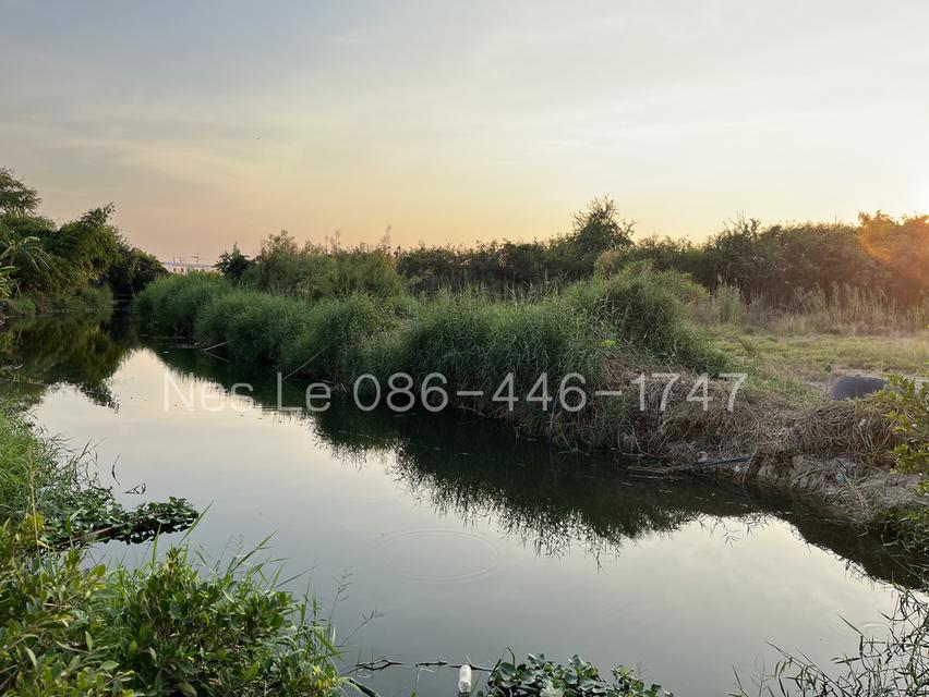 ที่ดินบางนา ใกล้เมกาบางนา 8 นาที ขนาด 274 ตร.ว. 7