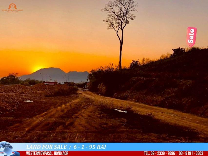 ขายที่ดินสวยเนินดอย พื้นที่ 6-1-95 ไร่ วิวภูเขา 360° ติดถนนบายพาสตะวันออก ฮ่องฮ้อ อ.เมืองเชียงราย 14