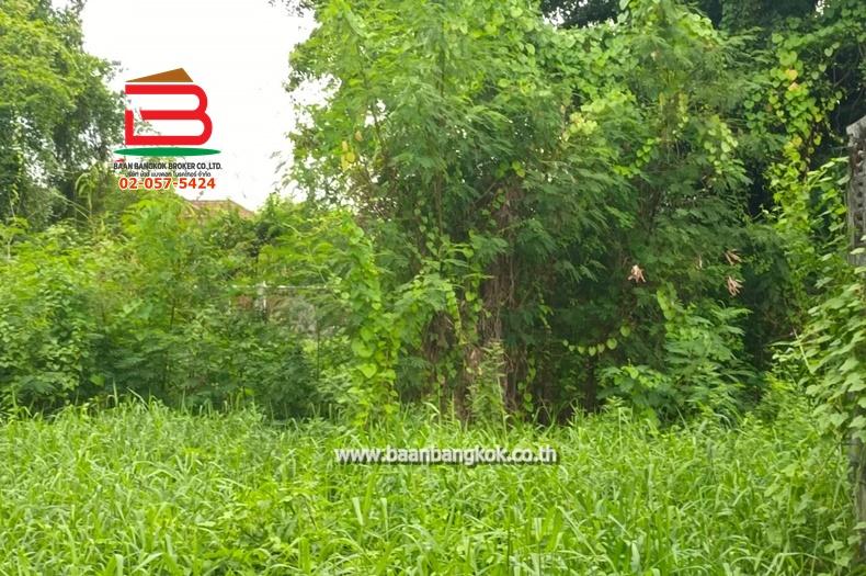 ที่ดินเปล่า พหลโยธิน 35 (ซอยท่านผู้หญิงพหลฯ) เนื้อที่ 104 ตรว. ถนนพหลโยธิน แขวงลาดยาว เขตจตุจักร กรุงเทพมหานคร