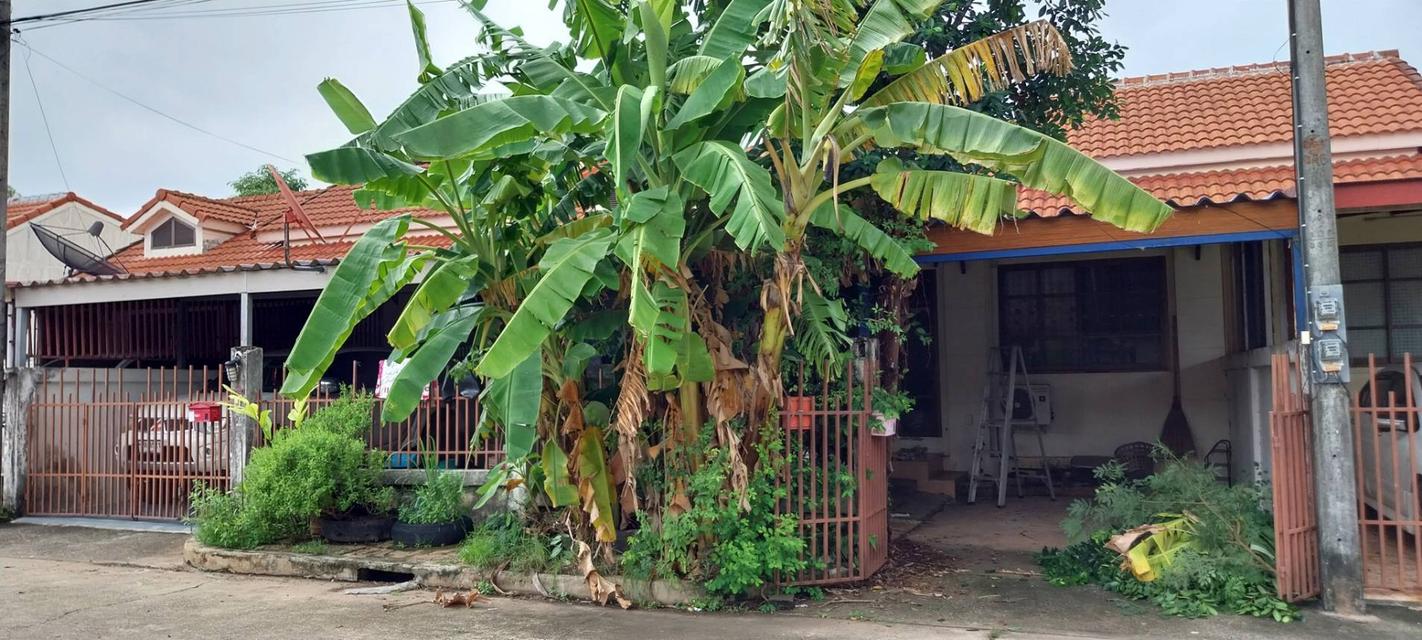 บ้านทาว์เฮาส์ชั้นเดียวมือสอง ใกล้นิคม304 ท่าตูม ปราจีนบุรี 1