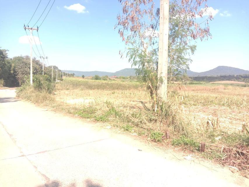 20 ไร่ ที่ดิน ด้านหลัง อำเภอ วังน้ำเขียว ขายยกแปลง 5