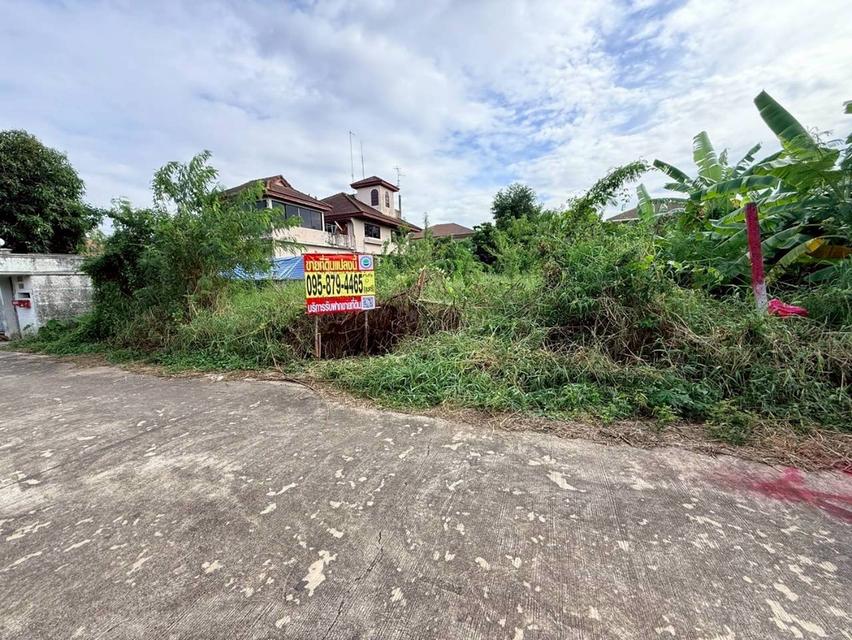 Vายที่ดินใกล้รถไฟฟ้าสายสีชมพู 146 ตารางวา ติดถนนคอนกรีต ถมแล้ว ซอยต้นสน 6 อ.ปากเกร็ด จ.นนทบุรี 3