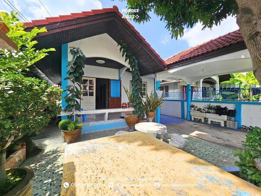 ขาย!! บ้านเดี่ยว 1 ชั้น บ้านเพชรงาม แพรกษา (ขนาด 38 ตร.ว.) ซอยเพชรงาม ต.แพรกษาใหม่ เมืองสมุทรปราการ : Ban Phet Ngam Phraeksa 2