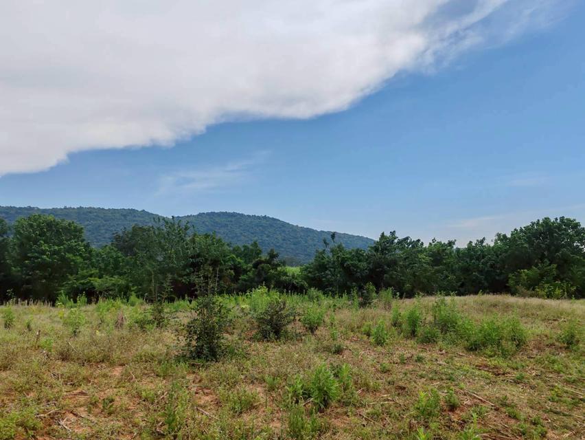 ที่ดินเปล่า จ.ลพบุรี อ.ลำสนธิ 3