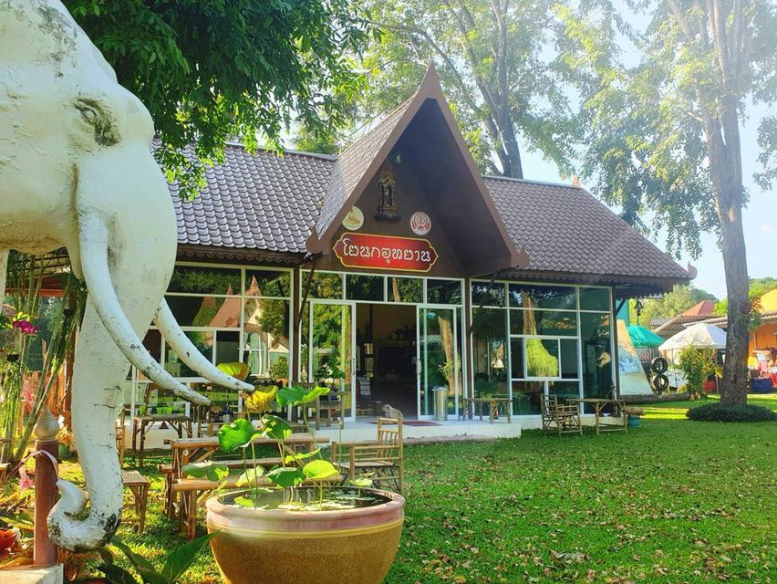 บ้านที่ดิน