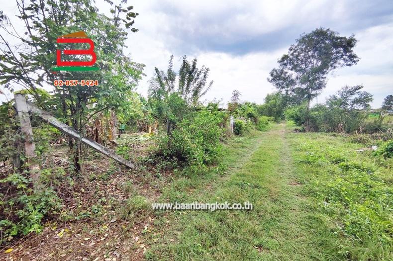 ที่ดิน ถมแล้ว ซอยมิตรไมตรี 2/2 เนื้อที่ 100 ตรว. ถนนมิตรไมตรี เขตหนองจอก กรุงเทพฯ