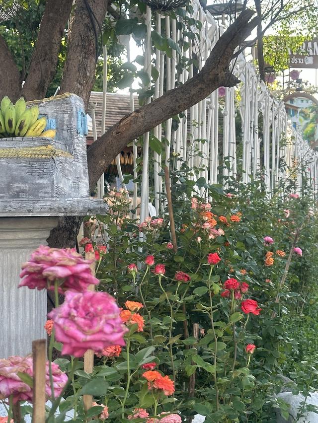 ให้เช่าบ้านเดี่ยว ย่านธุรกิจ 7