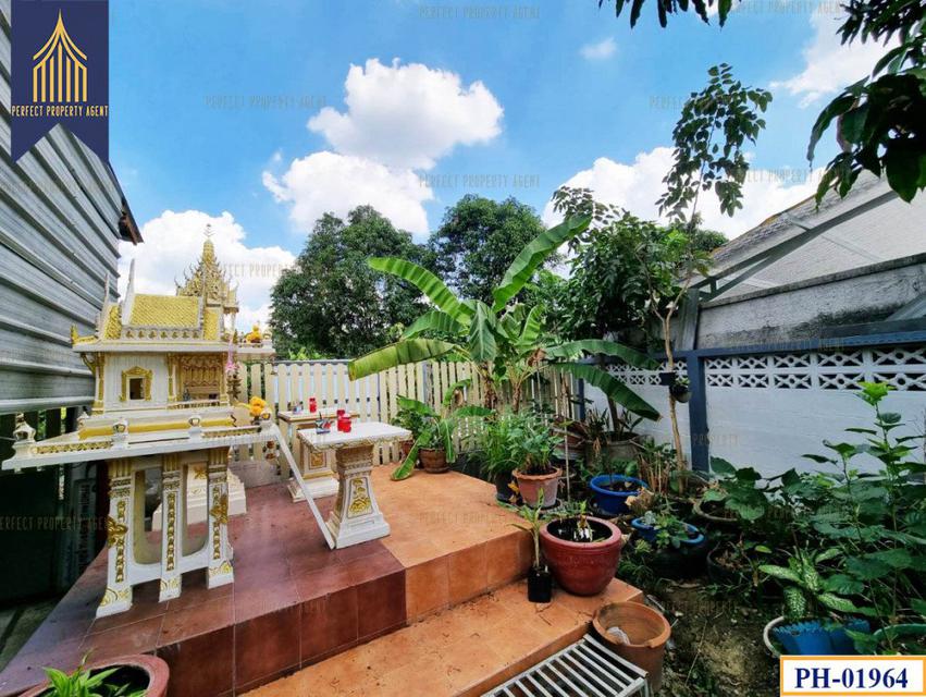 รูป ขาย บ้านเดี่ยวสร้างเอง ทำเลดี เพชรเกษม  110 ตรม. 124 ตร.วา 4