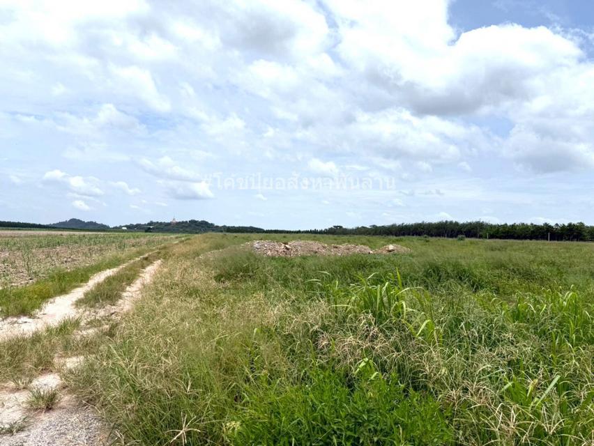 ขาย ที่ดิน ME376 ทำเลดี ราคาถูกสุดในย่านนี้ หนองอิรุณ บ้านบึง ชลบุรี . 50 ไร่ ใกล้เขตอุตสาหกรรมอาหารสยาม นิคมอมตะชลบุรี2 6