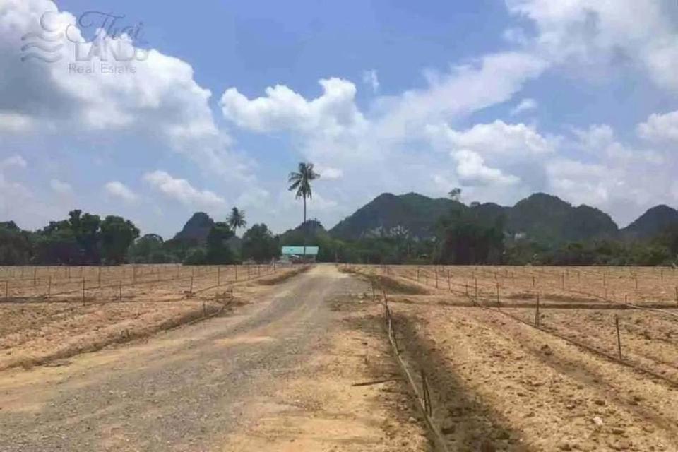 ขายที่ดิน ริมน้ำในเมืองโอกาสแบบนี้ไม่ได้มีบ่อย — แปลงใหญ่ วิวภูเขา ติดแม่น้ำแควน้อย 6