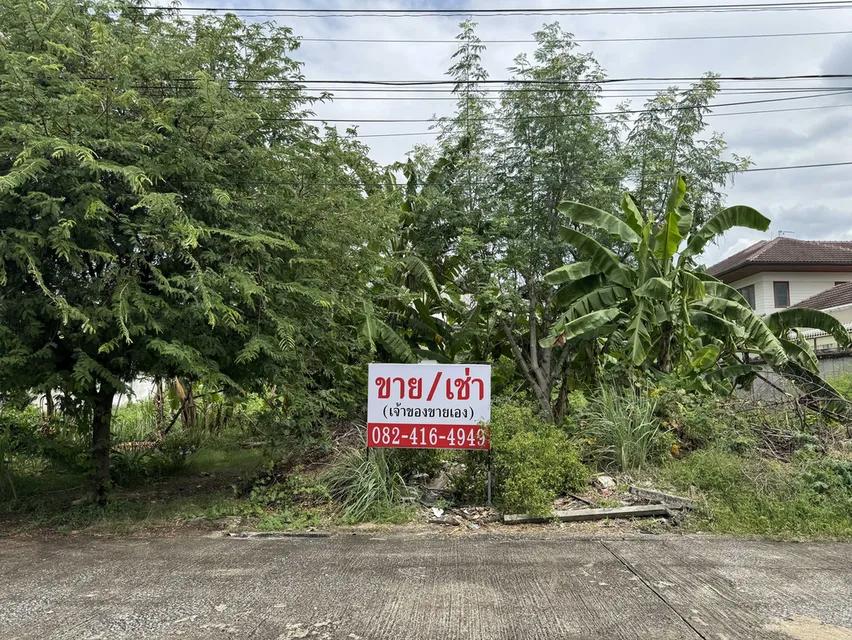 ขาย เช่า ที่ดินเปล่า หมู่บ้านเสรี ลาดพร้าว 101 1