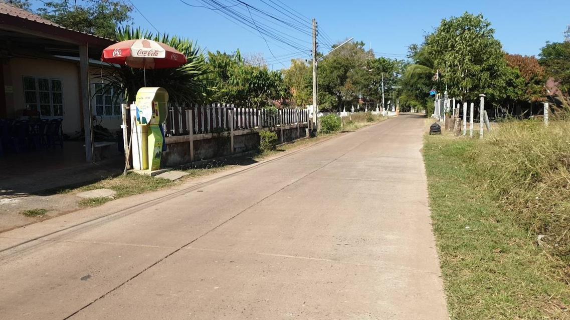 ขายด่วน ที่ดิน ต.โนนสูง จ.อุดรธานี