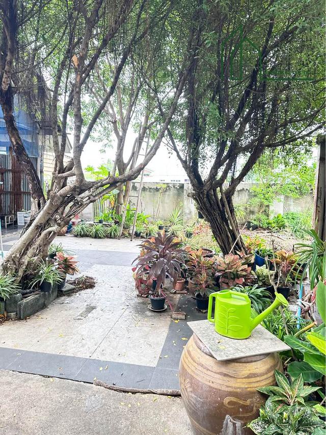 บ้านสร้างเอง 81 ตรว. ซ.ร่มประดู่ บางพลี  5