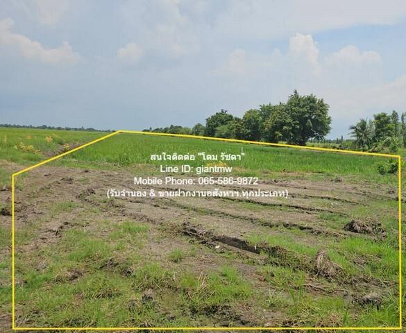 ที่ดิน ขายที่ดินทุ่งนาติดถนน ต.คลองเปร็ง อ.เมืองฉะเชิงเทรา 13-0-24.9 ไร่ 6.25 ล้านบาท area 5225 ตร.ว. 6250000 B. ใกล้ สถ 8