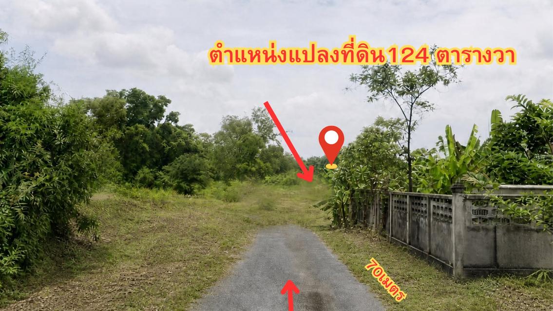 ขายที่ดิน รังสิต–คลองสอง ซอยบงกช 38 เนื้อที่ 124 ตารางวา 3