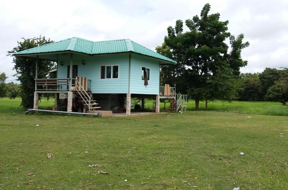 ที่ดินเปล่า พร้อมบ้าน 15 ไร่ 2