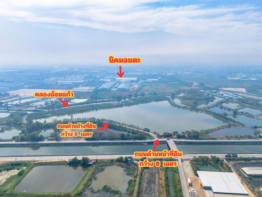 ขายที่สีม่วง 46 ไร่ ใกล้ถนนเลียบมอเตอร์เวย์ สาย 7 ใกล้นิคมอมตะ ชลบุรี ต.บางนาง อ.พานทอง จ.ชลบุรี 5