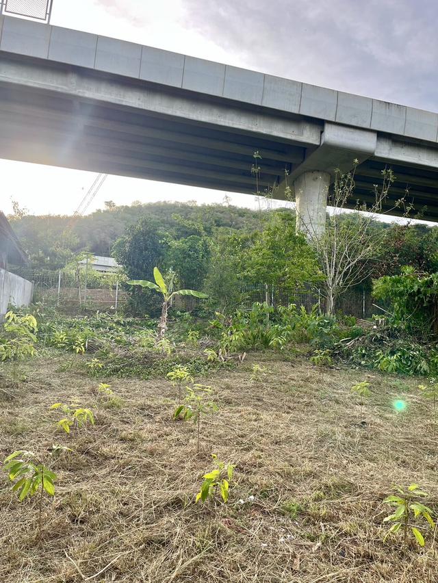 ขายที่ดินโฉนดเขาใหญ่ 104 ตร.วา. ใกล้ตัวเมืองปากช่องและถนนมิตรภาพสายเก่า 3