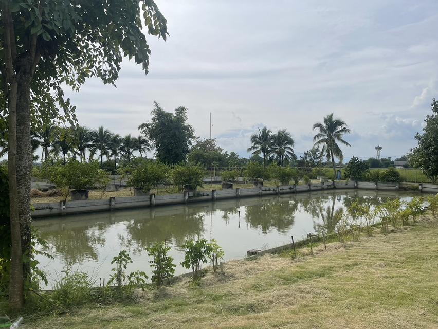 🏡ขายที่ดินพร้อมบ้านสวน พร้อมเข้าอยู่ 👩‍🌾👨‍🌾  📍ตำบล สง่าบ้าน อำเภอดอยสะเก็ด จังหวัดเชียงใหม่ 12