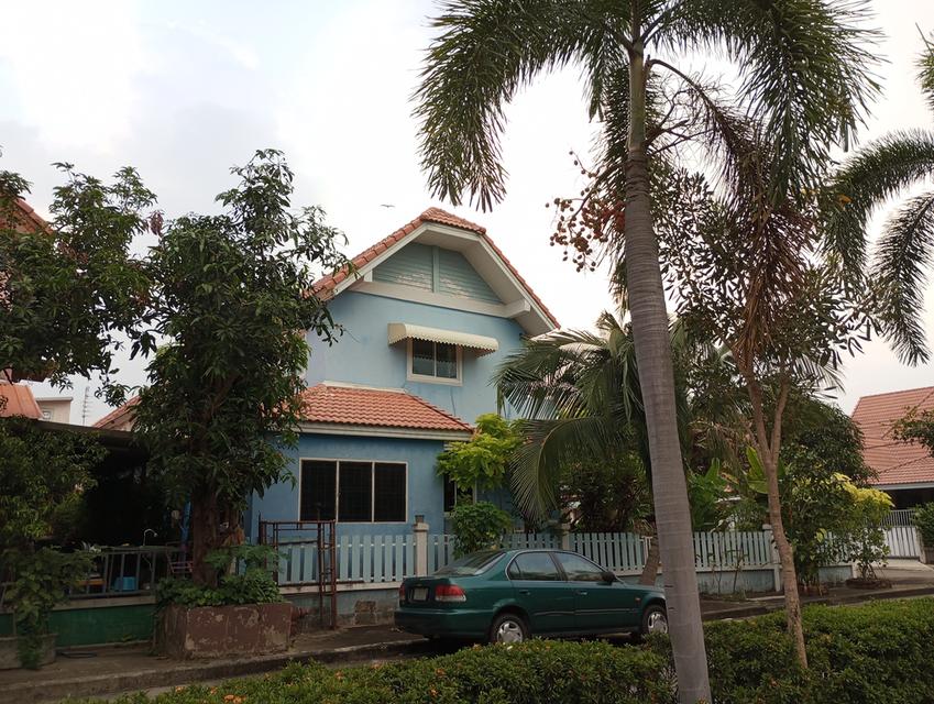 บ้านเดี่ยวหลังใหญ่  คนชอบต้นตอไม้ 2