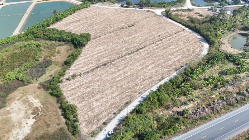 ที่ดินเปล่า ถมแล้ว 12-3-22 ไร่ ห้วยม่วง นครปฐม 7