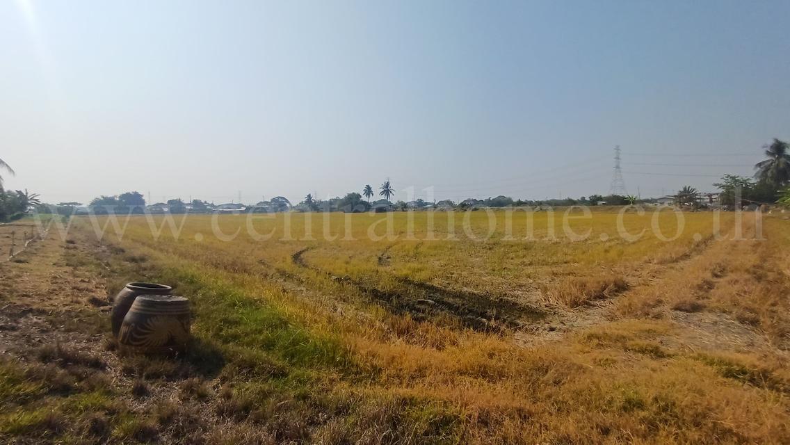 ที่ดิน 34-1-44 ไร่ ไทรน้อย นนทบุรี ทำเลดี ราคาถูกมาก 7