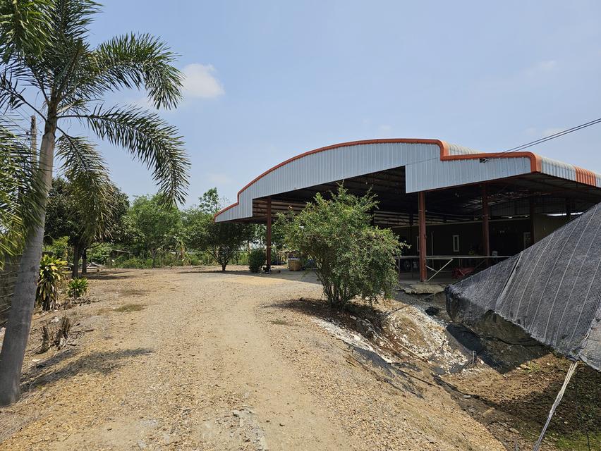 💫ขายที่ดิน💫 พร้อมโรงเรือนกล้วยไม้ 43ไร่ 2งาน กำแพงแสน นครปฐม เพียง 650,000/ไร่ 6