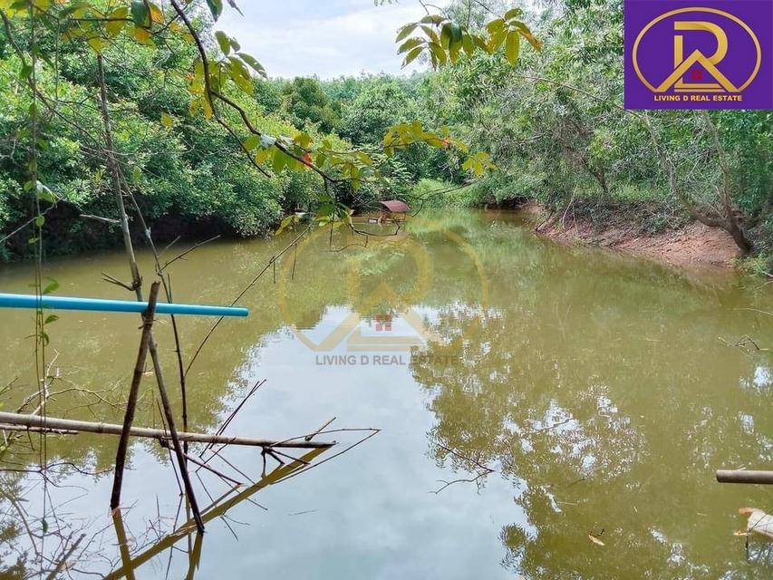 ขายด่วนลดเป็นล้าน ขายสวนผลไม้ผสม 10-0-18 ไร่ แถมบ้านพัก ใกล้วัดเขาสุกิม เหมาะลงทุน เหมาะเจ้าของสวนผลไม้ ต.ทุ่งเบญจา อ.ท่ 3