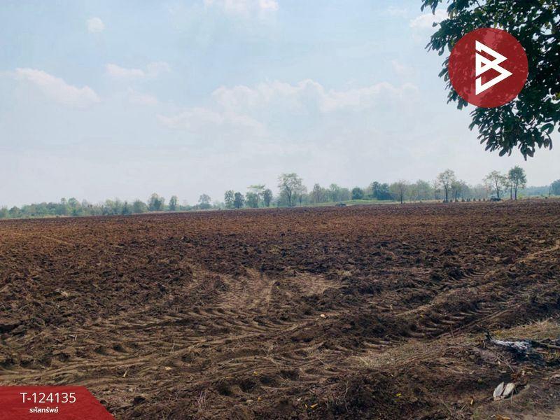 ขายที่ดิน เนื้อที่ 72 ไร่ 2 งาน 72. ตารางวา อำเภอชนแดน เพชรบูรณ์ 9