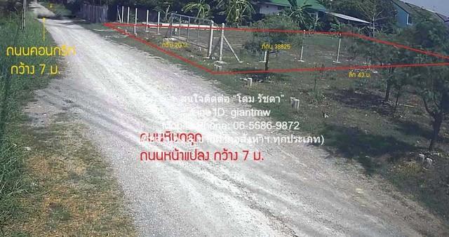 ที่ดิน ขายที่ดินเปล่าถมแล้ว 218 ตร.ว. แถวพุทธมณฑลสาย 2 มีรั้วแล้ว พร้อมมิเตอร์น้ำ+ไฟฟ้า (อยู่ใกล้ MRT หลักสอง) ราคา 4.9  3