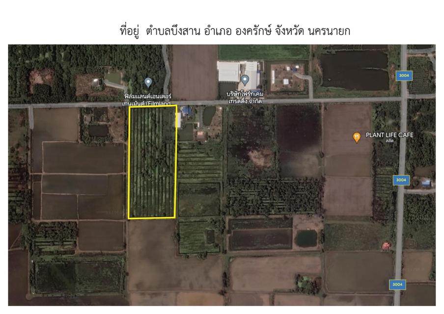 ที่ดิน รังสิต คลอง 15 1