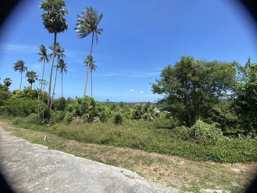 📍Land For Sale in KOH Samui 7