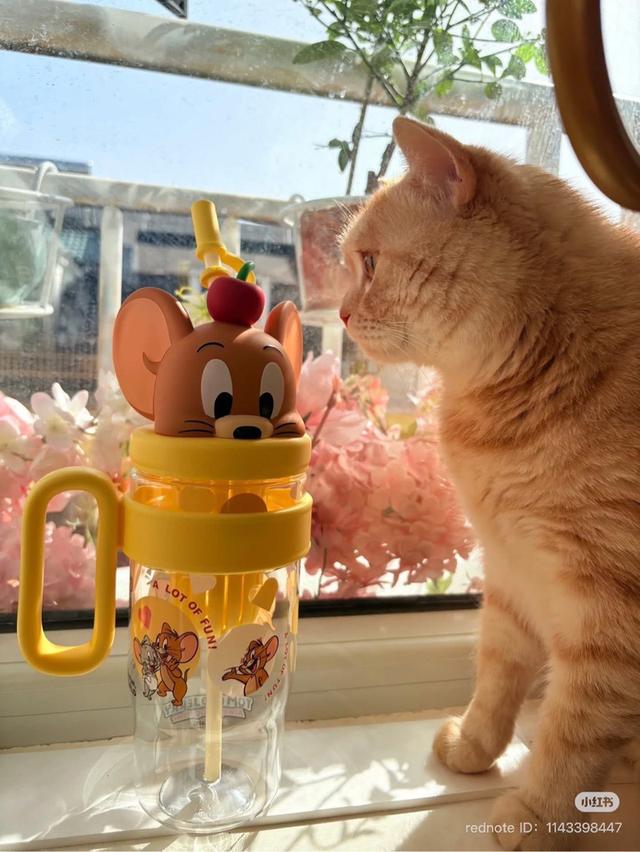 แก้วTomandJerry 2