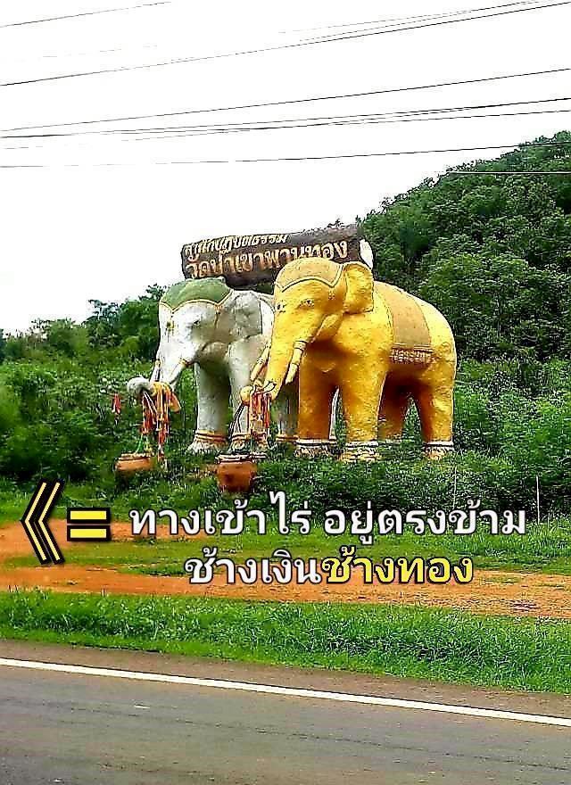 ขายที่ดินวิวภูเขา 919 ไร่  ต.บ่อพลอย จ.กาญจนบุรี 5