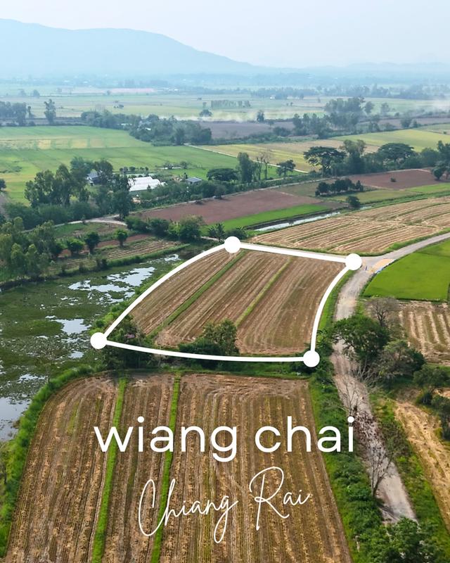 เจ้าของขายเองราคาถูกสุดๆ ที่นา 2 ไร่ ใกล้แม่น้ำกก อ. เวียงชัย จ.​ เชียงราย 15