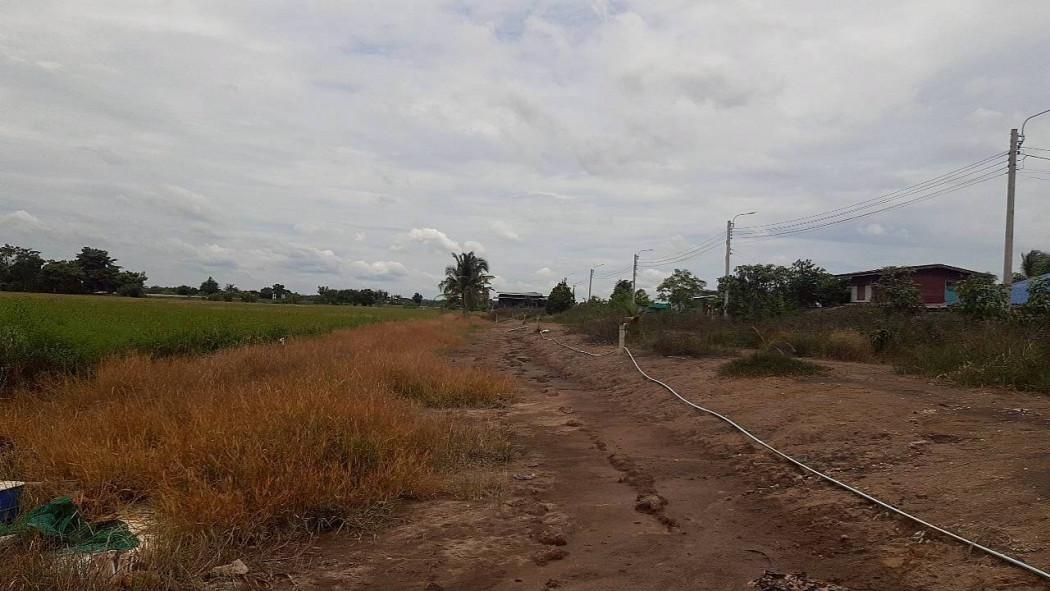 ขายที่ดิน 14 ไร่ 3 งาน 62 ตร.ว. ซอยวัดย่านวัดต้นเชือก ติดถนนหมายเลข 5027